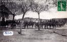 Carte postale ancienne - Artillerie de la 8e Division de Cavalerie - Revue de Mo...