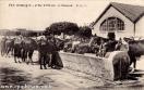 Carte postale ancienne - 227. Besançon - 4e Régt d'Artillerie - A l'Abreuvoir