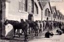Carte postale ancienne - 4me Régiment d'Artillerie - Le Pansage