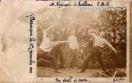 Carte postale ancienne - 4e Régiment d'Artillerie. P. H. R. - Besançon, le 1er D...