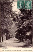 Carte postale ancienne - 259. BESANÇON - Effet de Neige - Forêt de Brégille