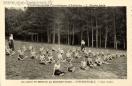 Carte postale ancienne - Établissements Climatiques d'Enfants. - 1. Monts Jura. ...