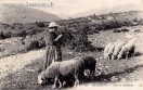 Carte postale ancienne - 89 BESANÇON. - Dans la Montagne.