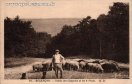 Carte postale ancienne - 86. - BESANÇON. - Vallée des Chaprais et les 4 Vents.