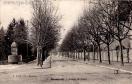 Carte postale ancienne - Besançon - Avenue de Canot