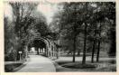 Carte postale ancienne - Besançon - Les Jardins du Parc du Casino