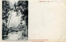 Carte postale ancienne - Besançon - Casino des Bains Salins de la Mouillère - Pa...