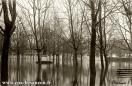 Carte postale ancienne - Inondations des 20-21 Janvier 1910 - BESANÇON. - Promen...