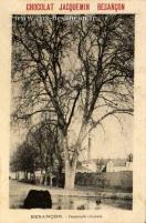 Carte postale ancienne - BESANÇON. - Promenade Chamars