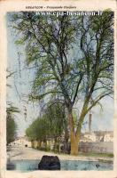Carte postale ancienne - BESANÇON - Promenade Chamars