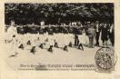 Carte postale ancienne - Fêtes du Centenaire de VICTOR HUGO - BESANÇON - Concour...