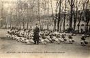 Carte postale ancienne - BESANÇON - 60me Régiment d'Infanterie - Exercice d'asso...