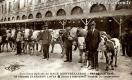 Carte postale ancienne - Concours Spécial de RACE MONTBÉLIARDE - BESANÇON 1926 -...