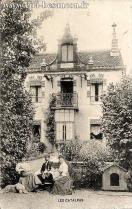 Carte postale ancienne - LES CATALPAS