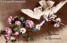 Carte postale ancienne Besançon - Mug - 674 - Souvenir de Besançon