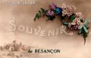 Carte postale ancienne Besançon - ZED - 222 - SOUVENIR de BESANÇON