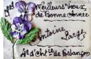 Carte postale ancienne - 1909 - Meilleurs Vœux de Bonne Année - Antoine Large - ...