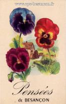 Carte postale ancienne - Pensées de BESANÇON