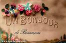 Carte postale ancienne Besançon - Mimosa - 381 - UN BONJOUR de Besançon