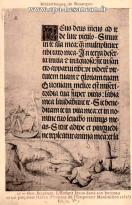Carte postale ancienne Besançon - LR - Bibliothèque de Besançon - 11 - Hans Burgkmair. L'Enfant Jésus dans son berceau et un prophète (Livre d'heures de l'Empereur Maximilien (1515) - fol. I, Ve.)