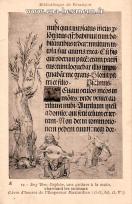 Carte postale ancienne Besançon - LR - Bibliothèque de Besançon - 12 - Jorg Breu. Orphée, une guitare à la main, charmant les animaux (Livre d'heures de l'Empereur Maximilien (1515), fol. 13, Ve.)