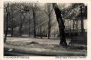 Carte postale ancienne Besançon - Luc - 14. BESANÇON PITTORESQUE - Effet du matin - Promenade Granvelle