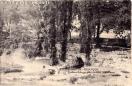 Carte postale ancienne - 138 - BESANÇON - Fontaine Billecul, près du Pont Saint-...