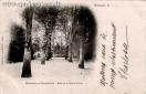 Carte postale ancienne Besançon - A. Bergeret et Cie - BESANÇON - PENSIONNAT DU SACRÉ-CŒUR. - Allée de la Sainte-Vierge