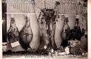 Carte postale ancienne - BOUCHERIE CHARCUTERIE CHEVALINE - Maison VIENNET - 4 et...