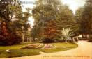 Carte postale ancienne Besançon - La Cigogne - 20043. - BESANÇON-les-BAINS. - Promenade Micaud