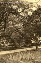 Carte postale ancienne - 86. - BESANÇON-les-BAINS - Promenade Micaud