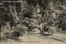 Carte postale ancienne - BESANÇON - Promenade Micaud. Le Lac.
