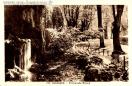 Carte postale ancienne - 105. BESANÇON - Promenade Micaud