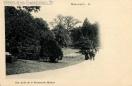 Carte postale ancienne - Une Allée de la Promenade Micaud