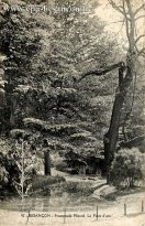 Carte postale ancienne - 97 - BESANÇON - Promenade Micaud. La Pièce d'eau