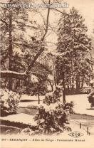 Carte postale ancienne - 260 - BESANÇON - Effet de Neige - Promenade Micaud