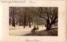 Carte postale ancienne - Promenade MIcaud
