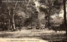 Carte postale ancienne - 410. - BESANÇON-les-BAINS. - Promenade Micaud