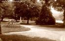 Carte postale ancienne - Besançon - Parc Micaud et statue de Just Becquet