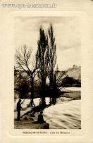 Carte postale ancienne - BESANÇON-les-BAINS. - L'Ile des Moineaux