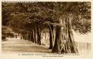 Carte postale ancienne - 2. BESANÇON Pittoresque - La Grande Allée sur les rives...