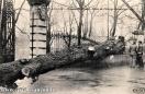 Carte postale ancienne - BESANÇON - Promenade Micaud, Effets de l'Orage - Novemb...