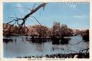 Carte postale ancienne Besançon - A. Hendré - BESANÇON (Doubs). - L'Ile des moineaux à Micaud.