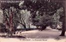 Carte postale ancienne - 12 - BESANÇON - La Promenade Micaud