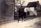 Carte postale ancienne - BESANÇON - Rue des Docks - v. 1902