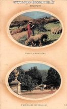 Carte postale ancienne Besançon - LL - BESANÇON - DANS LA MONTAGNE - PROMENADE DE CHAMARS