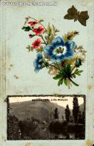 Carte postale ancienne - BESANÇON - L'Ile Malpas
