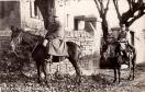 Carte postale ancienne - X... le 14 Novembre 1914.