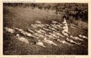 Carte postale ancienne - 9. - Préventorium de Palente. - BESANÇON. - Le bain de ...