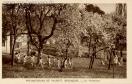 Carte postale ancienne Besançon - Péquignot - PRÉVENTORIUM DE PALENTE. BESANÇON. - Le Printemps